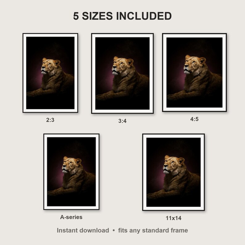Lioness Wall Art print size chart - 5 ratios included: 2:3, 3:4, 4:5, 11x14, ISO A