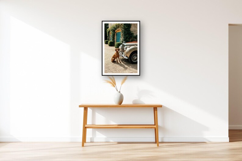 Vizsla Wall Art art print displayed above an entry console table