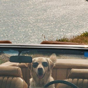 Arte de viaje por carretera en Labrador Convertible / Foto de coche clásico Riviera (Descarga digital) imagen 4