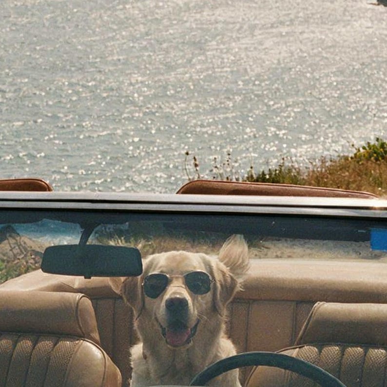 Arte de viaje por carretera en Labrador Convertible / Foto de coche clásico Riviera (Descarga digital) imagen 4