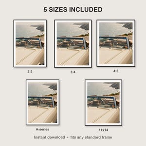 Labrador Wall Art print size chart - 5 ratios included: 2:3, 3:4, 4:5, 11x14, ISO A
