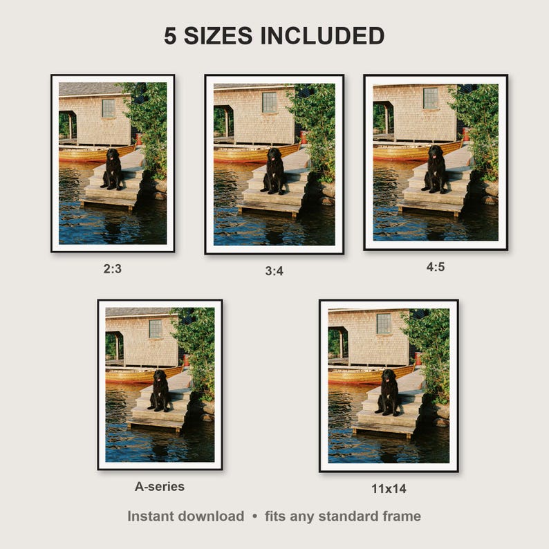 Newfoundland Dog Wall Art print size chart - 5 ratios included: 2:3, 3:4, 4:5, 11x14, ISO A