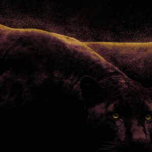 Close-up detail of Panther Wall Art art print