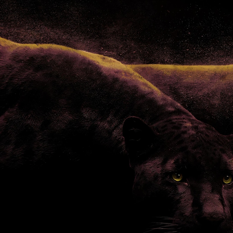 Close-up detail of Panther Wall Art art print