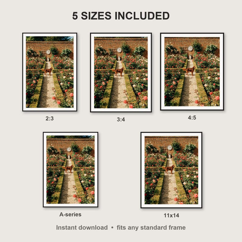 Irish Setter Wall Art print size chart - 5 ratios included: 2:3, 3:4, 4:5, 11x14, ISO A