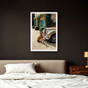 Vizsla Wall Art art print framed in a dark luxury bedroom