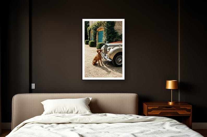 Vizsla Wall Art art print framed in a dark luxury bedroom