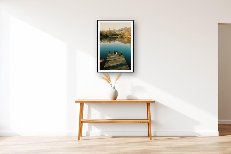 Border Collie Wall Art art print displayed above an entry console table