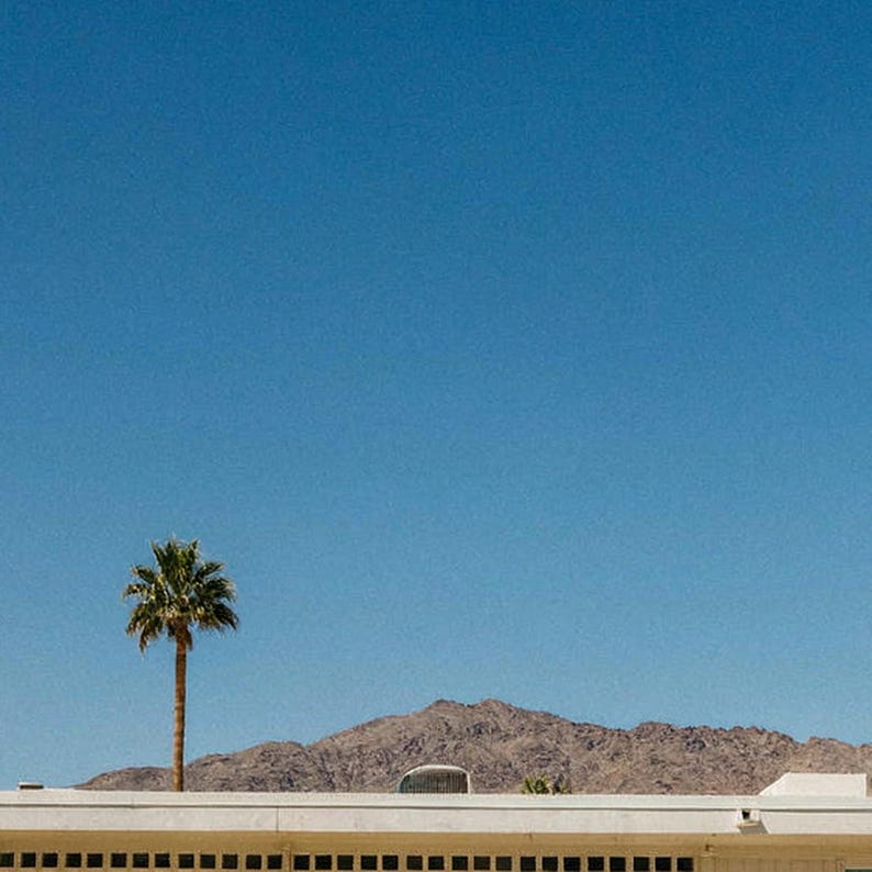 Fotografía de un caniche estándar en la piscina de Palm Springs / Fotografía canina de mediados de siglo (descarga digital) imagen 4
