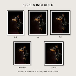 Doberman Wall Art print size chart - 5 ratios included: 2:3, 3:4, 4:5, 11x14, ISO A