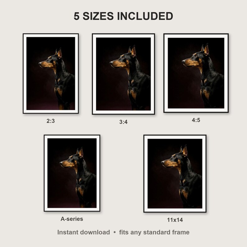Doberman Wall Art print size chart - 5 ratios included: 2:3, 3:4, 4:5, 11x14, ISO A