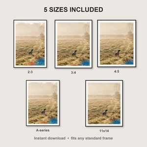 English Pointer Wall Art print size chart - 5 ratios included: 2:3, 3:4, 4:5, 11x14, ISO A