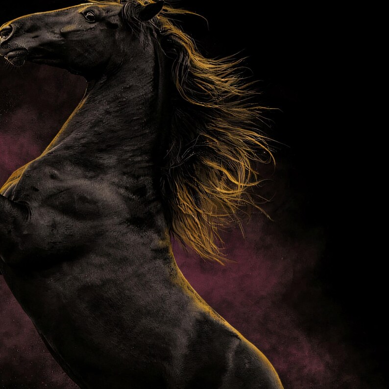 Close-up detail of Black Stallion Wall Art art print