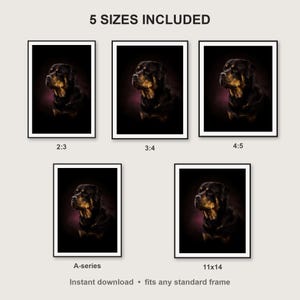 Rottweiler Wall Art II print size chart - 5 ratios included: 2:3, 3:4, 4:5, 11x14, ISO A