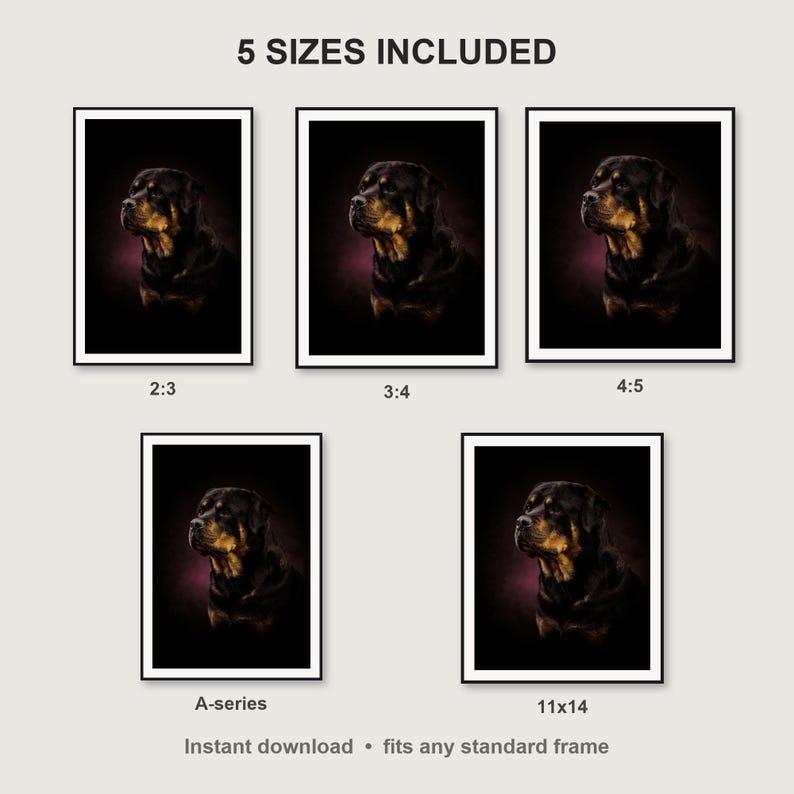 Rottweiler Wall Art II print size chart - 5 ratios included: 2:3, 3:4, 4:5, 11x14, ISO A