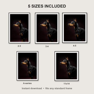 Doberman Wall Art II print size chart - 5 ratios included: 2:3, 3:4, 4:5, 11x14, ISO A