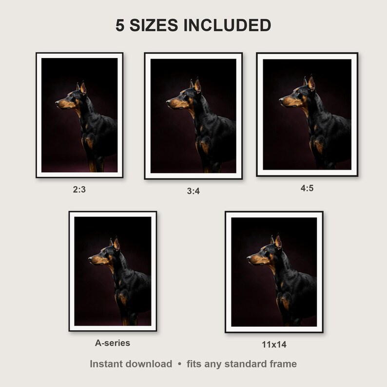Doberman Wall Art II print size chart - 5 ratios included: 2:3, 3:4, 4:5, 11x14, ISO A