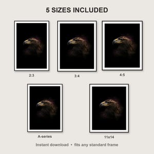 Eagle Wall Art print size chart - 5 ratios included: 2:3, 3:4, 4:5, 11x14, ISO A