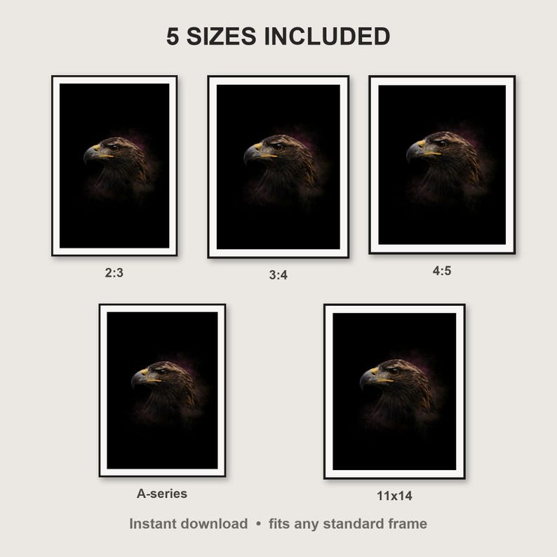 Eagle Wall Art print size chart - 5 ratios included: 2:3, 3:4, 4:5, 11x14, ISO A