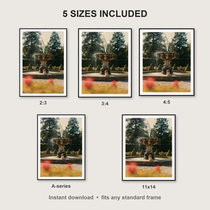 Cavalier Spaniel Wall Art print size chart - 5 ratios included: 2:3, 3:4, 4:5, 11x14, ISO A