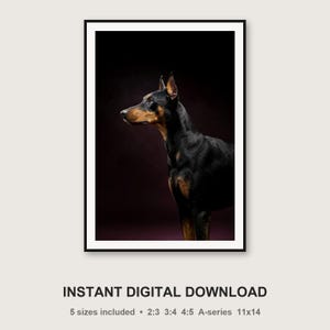 Estampado de Doberman / Borde de latón, decoración de perro en negro y dorado (descarga digital) imagen 3