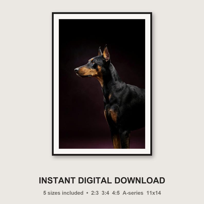 Estampado de Doberman / Borde de latón, decoración de perro en negro y dorado (descarga digital) imagen 3