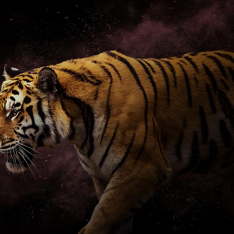 Close-up detail of Tiger Wall Art art print