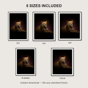 Lioness Wall Art III print size chart - 5 ratios included: 2:3, 3:4, 4:5, 11x14, ISO A