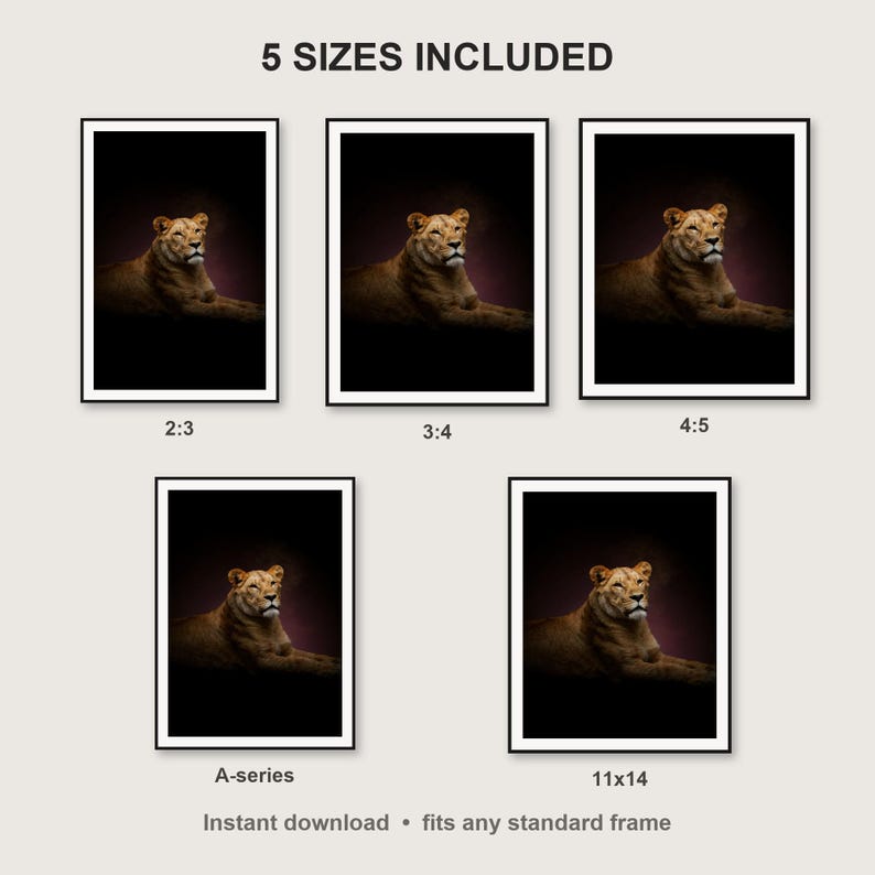 Lioness Wall Art III print size chart - 5 ratios included: 2:3, 3:4, 4:5, 11x14, ISO A
