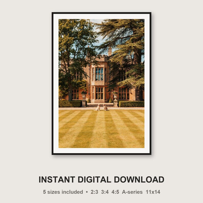 English Setter Dog Print | Country Estate Manor Photography (Digital Download) image 3