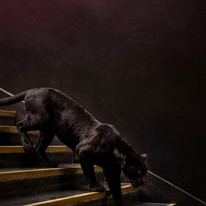 Black Panther Brass Staircase Print | Dark Luxury Animal Wall Art (Digital Download) image 4