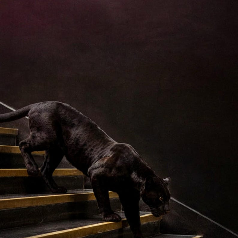 Black Panther Brass Staircase Print | Dark Luxury Animal Wall Art (Digital Download) image 4