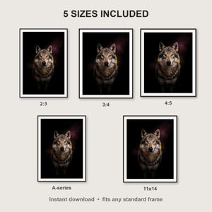 Wolf Wall Art II print size chart - 5 ratios included: 2:3, 3:4, 4:5, 11x14, ISO A