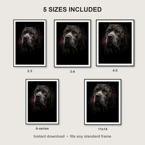 Cane Corso Wall Art II print size chart - 5 ratios included: 2:3, 3:4, 4:5, 11x14, ISO A