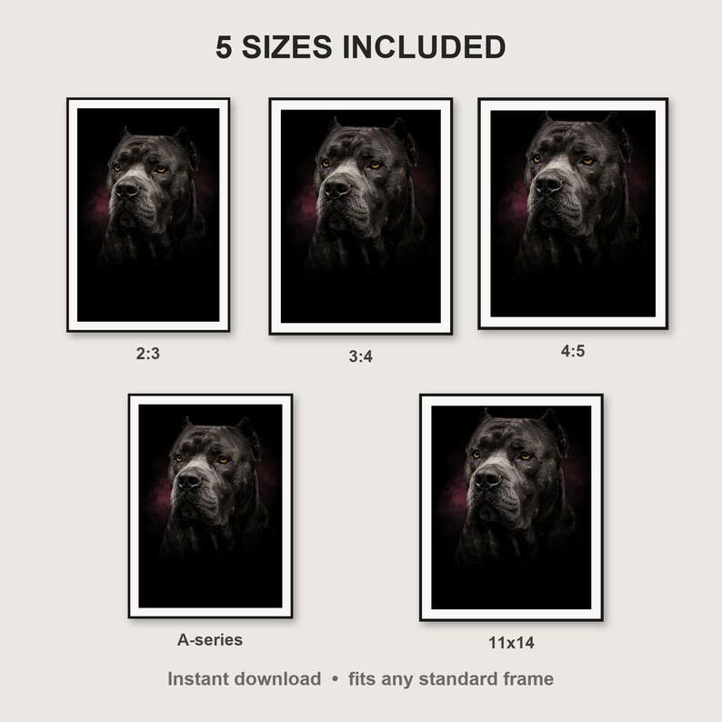 Cane Corso Wall Art II print size chart - 5 ratios included: 2:3, 3:4, 4:5, 11x14, ISO A