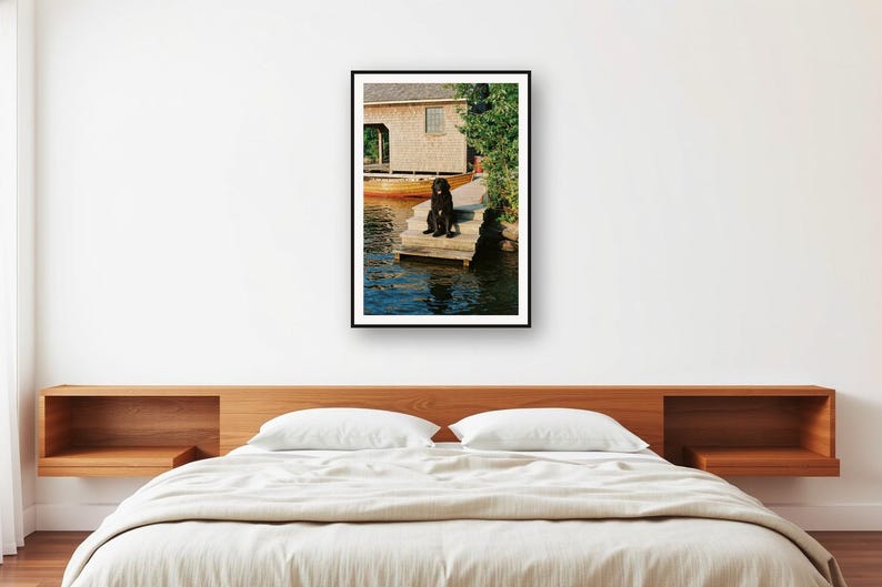 Quadro decorativo com casinha de barco para cães Terra Nova | Arte de parede vintage para casa de lago (Download digital) imagem 2