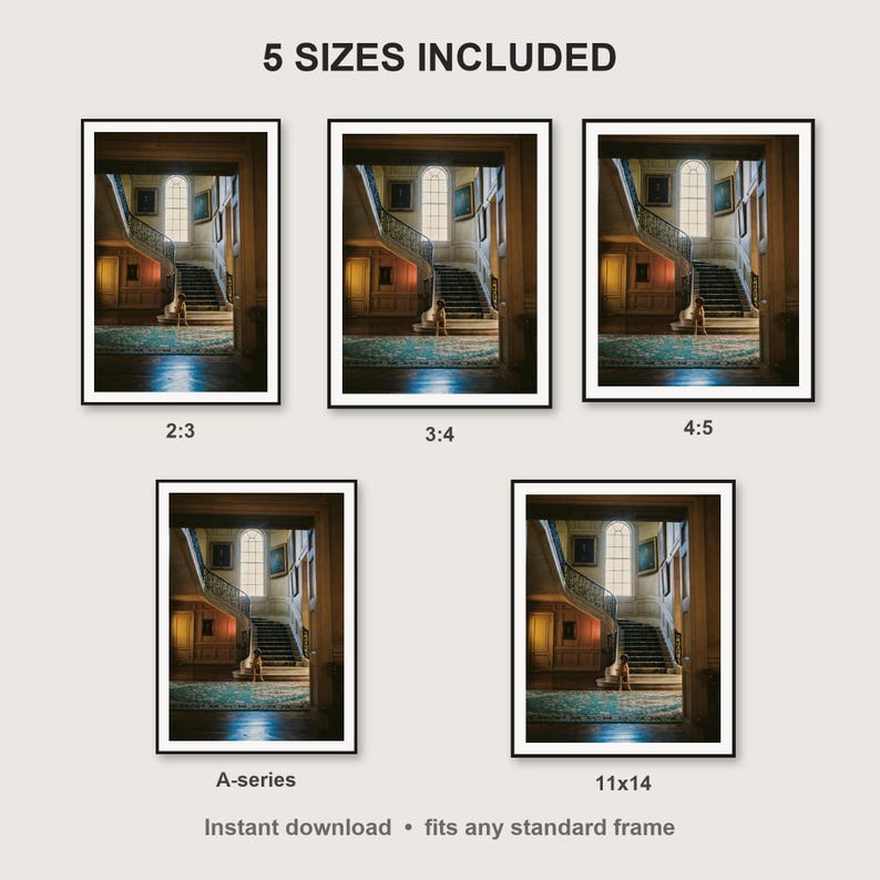 Great Dane Wall Art print size chart - 5 ratios included: 2:3, 3:4, 4:5, 11x14, ISO A