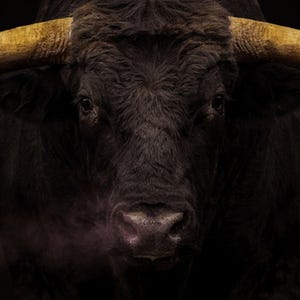 Tjurtryck | Mässingshorn, djurdekor i svartguld (digital nedladdning) bild 4