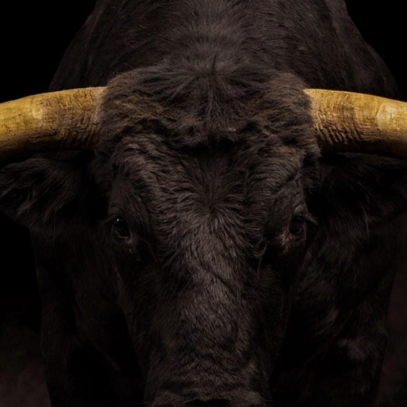 Bull Wall Art | Brass Horns, Black Gold Animal Print (Digital Download) image 4