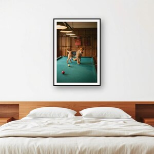 Drahthaar-Foxterrier im Billardzimmer-Print | Old Money Hundefotografie (Digitaler Download) Bild 2