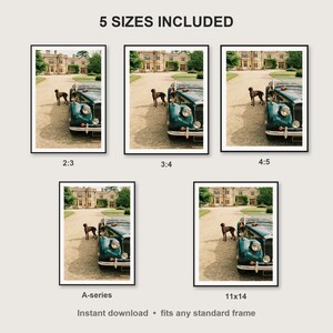 German Shorthaired Pointer Wall Art print size chart - 5 ratios included: 2:3, 3:4, 4:5, 11x14, ISO A