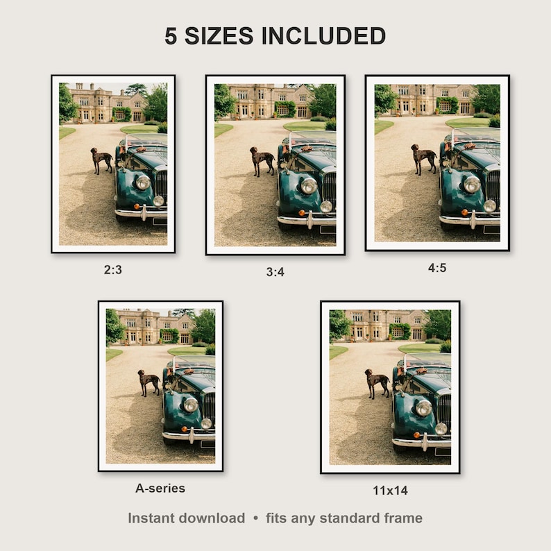 German Shorthaired Pointer Wall Art print size chart - 5 ratios included: 2:3, 3:4, 4:5, 11x14, ISO A
