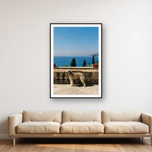 Lámina decorativa de galgo afgano / Estampado de perro en terraza mediterránea (descarga digital) imagen 1