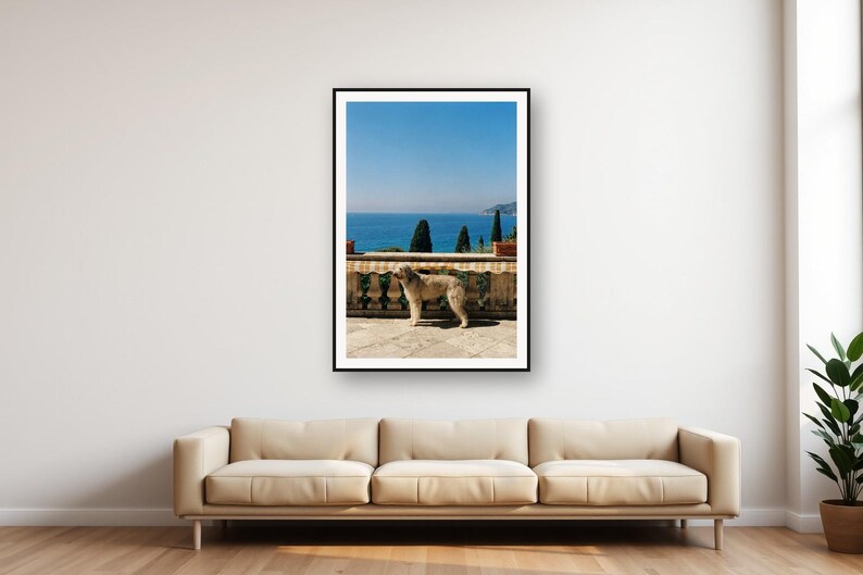 Lámina decorativa de galgo afgano / Estampado de perro en terraza mediterránea (descarga digital) imagen 1