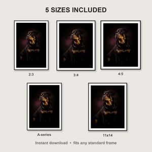 Rottweiler Wall Art print size chart - 5 ratios included: 2:3, 3:4, 4:5, 11x14, ISO A