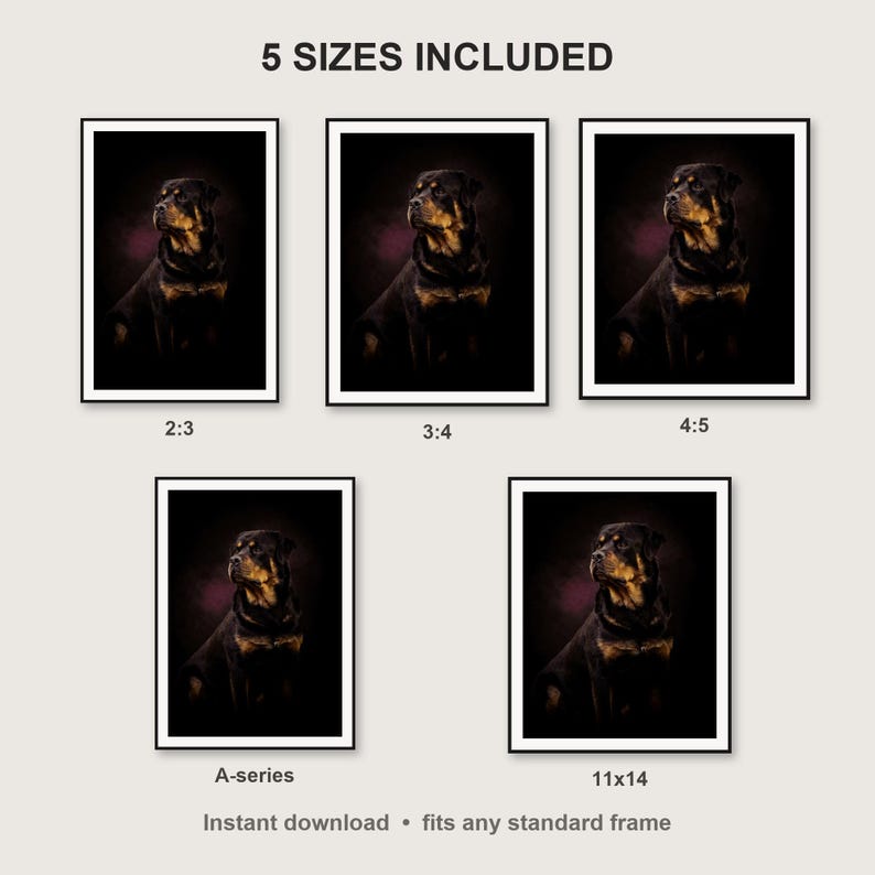 Rottweiler Wall Art print size chart - 5 ratios included: 2:3, 3:4, 4:5, 11x14, ISO A