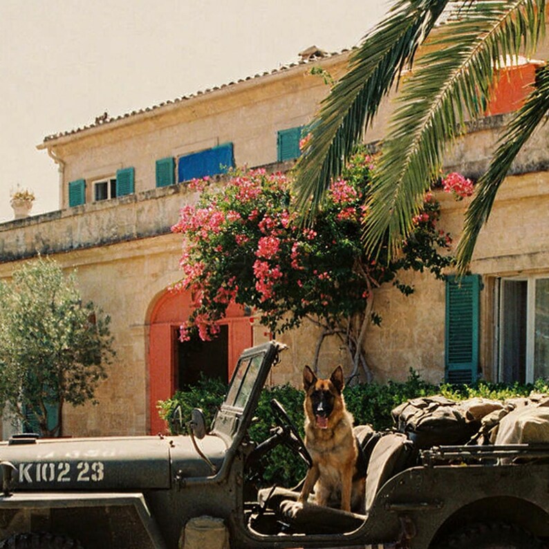 German Shepherd K9 Riding Shotgun Military Jeep Print | Retro Villa Decor (Digital Download) image 4