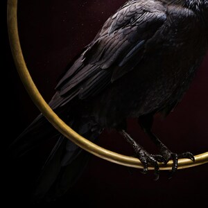 Close-up detail of Raven Wall Art art print