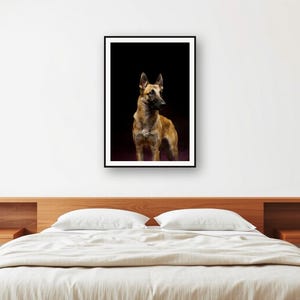 Lámina de pastor belga malinois / Arte canino con borde de latón / Decoración de lujo oscura (Descarga digital) imagen 2