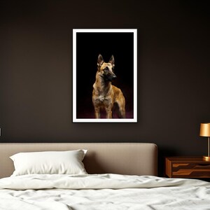 Belgian Malinois Wall Art art print framed in a dark luxury bedroom